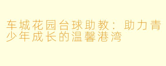 车城花园台球助教:助力青少年成长的温馨港湾