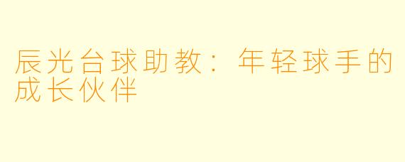 辰光台球助教：年轻球手的成长伙伴
