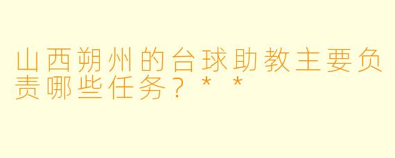 山西朔州的台球助教主要负责哪些任务？**