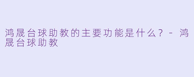 鸿晟台球助教的主要功能是什么？