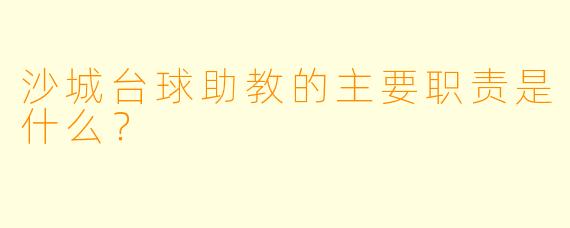 沙城台球助教的主要职责是什么？