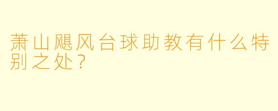 萧山飓风台球助教有什么特别之处?