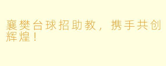 襄樊台球招助教，携手共创辉煌！