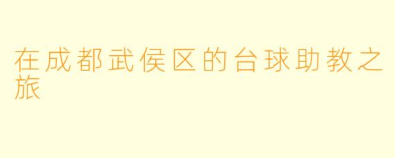 在成都武侯区的台球助教之旅
