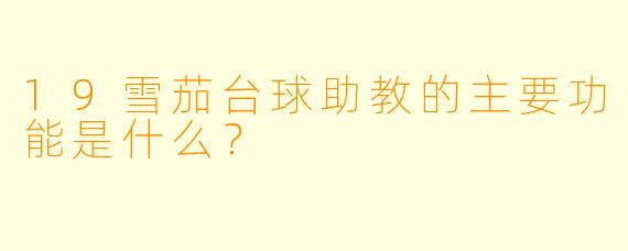 19雪茄台球助教的主要功能是什么？