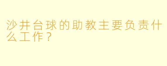 沙井台球的助教主要负责什么工作？