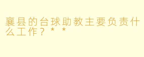 襄县的台球助教主要负责什么工作？**