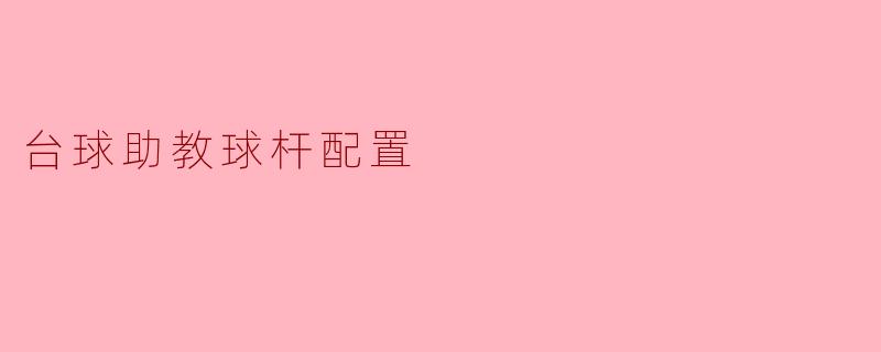 台球助教球杆配置