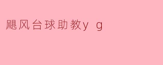 飓风台球助教yg