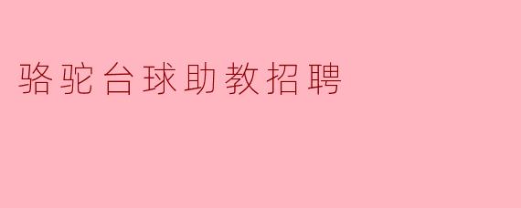 骆驼台球助教的招聘条件有哪些?**
