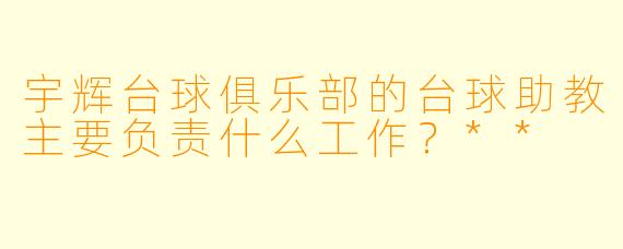 宇辉台球俱乐部的台球助教主要负责什么工作？**