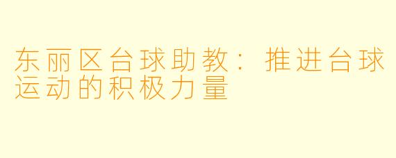东丽区台球助教：推进台球运动的积极力量