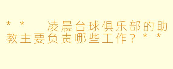 ** 凌晨台球俱乐部的助教主要负责哪些工作？**
