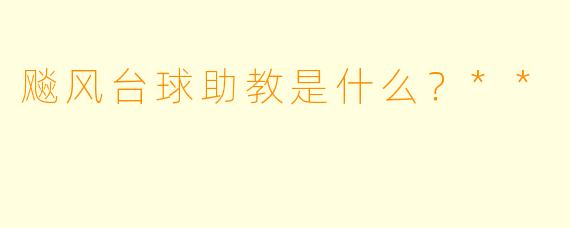 飚风台球助教是什么？**