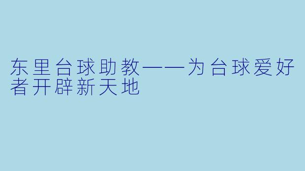 东里台球助教——为台球爱好者开辟新天地