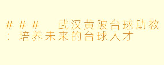 ### 武汉黄陂台球助教：培养未来的台球人才