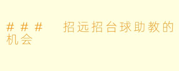 ### 招远招台球助教的机会