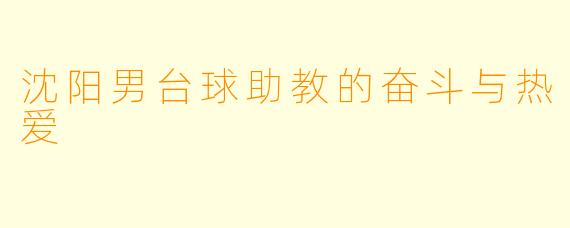 沈阳男台球助教的奋斗与热爱