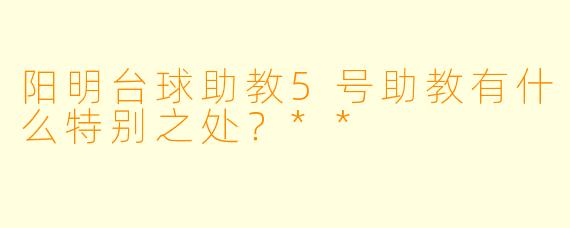 阳明台球助教5号助教有什么特别之处？**