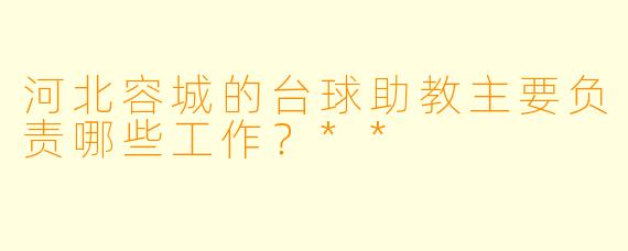 河北容城的台球助教主要负责哪些工作？**