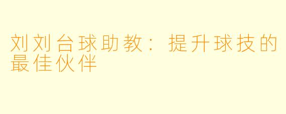 刘刘台球助教:提升球技的最佳伙伴