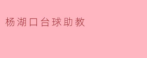 杨湖口台球助教