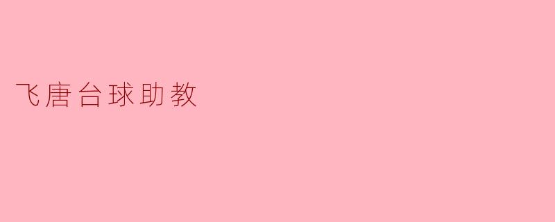飞唐台球助教