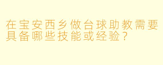 在宝安西乡做台球助教需要具备哪些技能或经验？