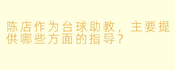 陈店作为台球助教，主要提供哪些方面的指导？