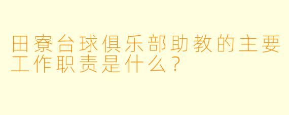 田寮台球俱乐部助教的主要工作职责是什么？