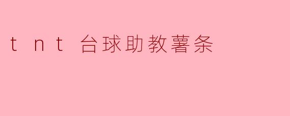 tnt台球助教薯条