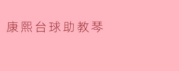 康熙台球助教琴