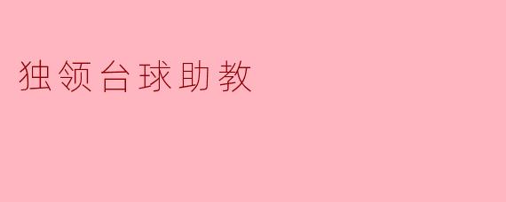 独领台球助教