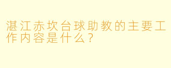 湛江赤坎台球助教的主要工作内容是什么?