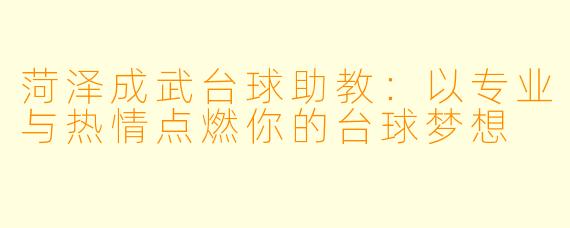 菏泽成武台球助教：以专业与热情点燃你的台球梦想