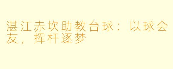 湛江赤坎助教台球：以球会友，挥杆逐梦