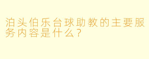 泊头伯乐台球助教的主要服务内容是什么？