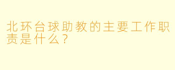 北环台球助教的主要工作职责是什么？