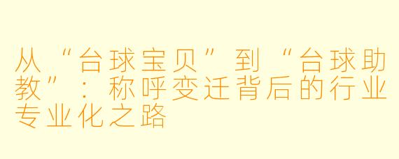 从“台球宝贝”到“台球助教”：称呼变迁背后的行业专业化之路
