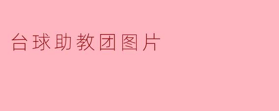 《台球助教团风采:定格在方寸之间的默契与专业》