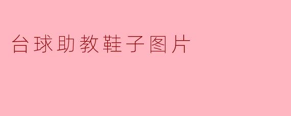 《台球助教必备:专业台球鞋选购指南与高清图片展示》