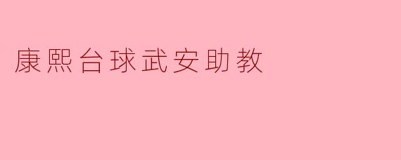 康熙台球武安助教