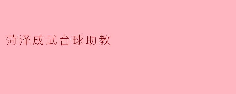 菏泽成武台球助教:以专业与热情点燃你的台球梦想