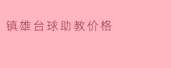 镇雄台球助教价格
