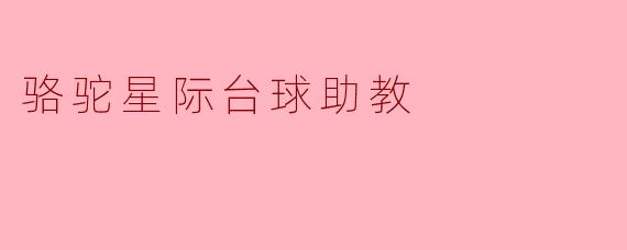 骆驼星际台球助教有哪些独特功能?