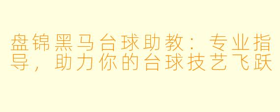 盘锦黑马台球助教：专业指导，助力你的台球技艺飞跃