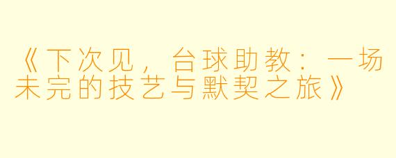 《下次见，台球助教：一场未完的技艺与默契之旅》