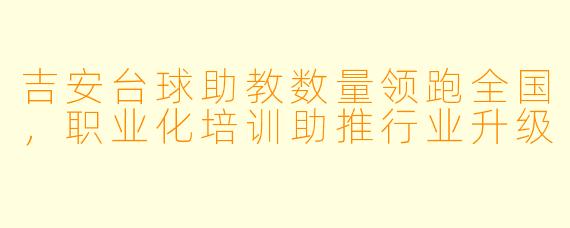 吉安台球助教数量领跑全国，职业化培训助推行业升级