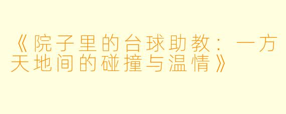 《院子里的台球助教：一方天地间的碰撞与温情》