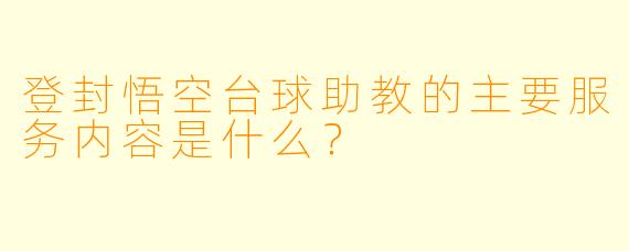 登封悟空台球助教的主要服务内容是什么？